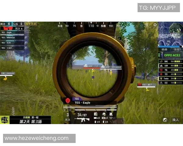 和平精英巨献：深入分析FPX战队的默契配合与战术策略