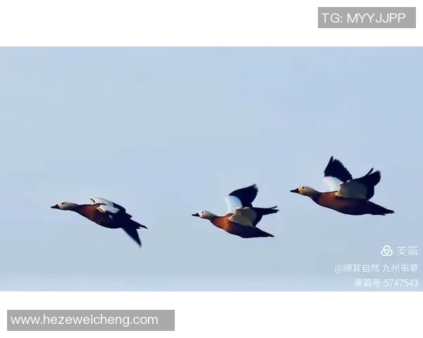 天津松江与贵州人和的激战谁能在这场较量中笑到最后