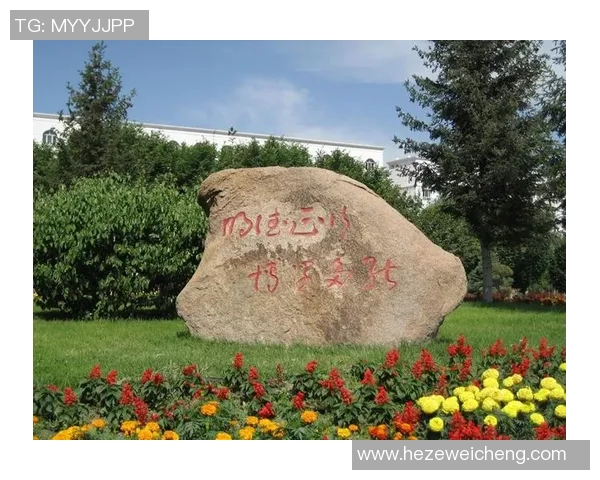 杭州排球队边路渗透战术解析与应用探讨MBA