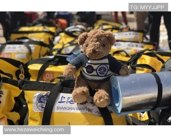 飞盘之路：吴丽分享她的成长与挑战经历MBA